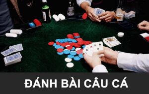 Đánh bài câu cá có nghĩa là gì?